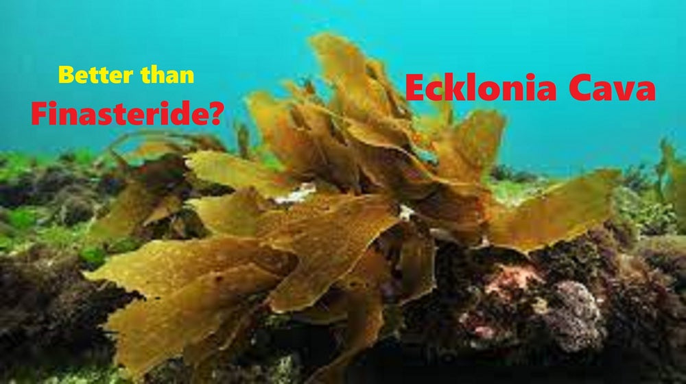 Ecklonia Cava: This magical sea plant is better than Finasteride?!?!