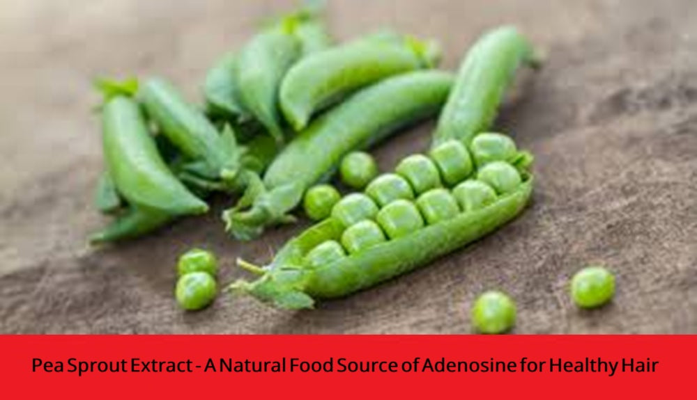 Pea Sprout Extract - A Natural Food Source of Adenosine for Healthy Hair