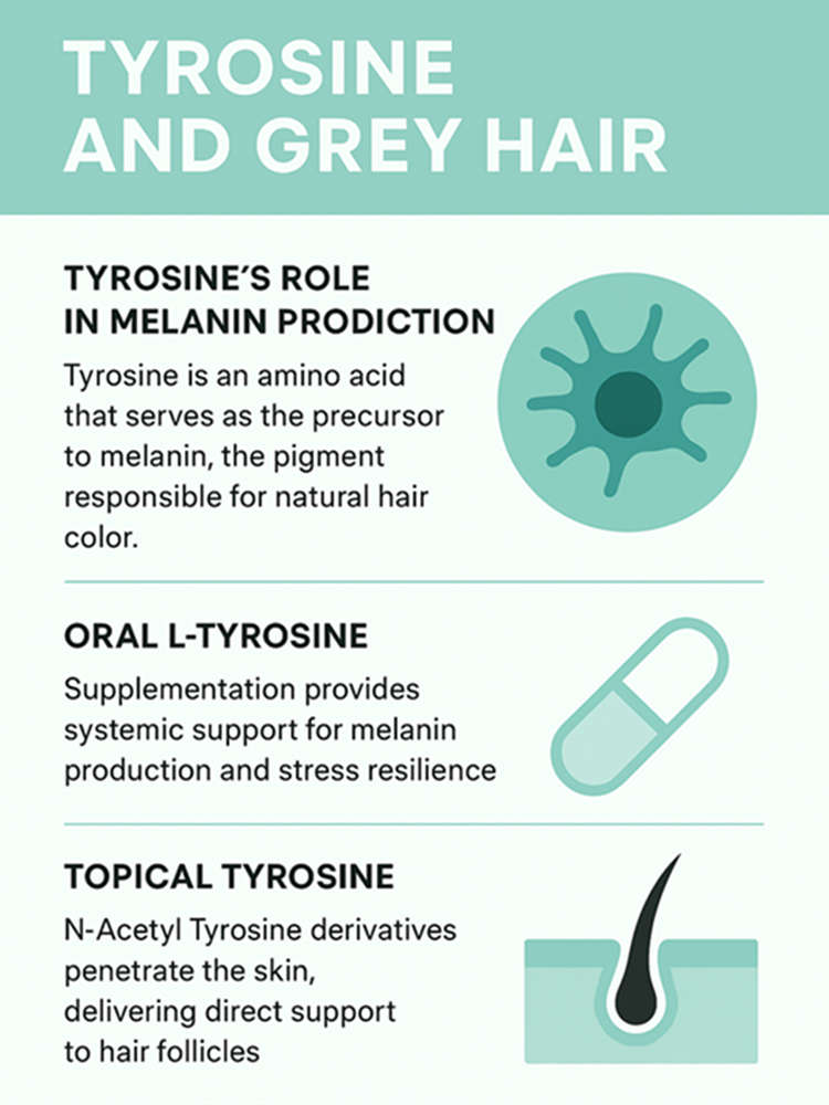 Tyrosine and Grey Hair — Oral vs Topical Solutions